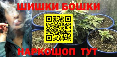 прущие грибы Шелехов