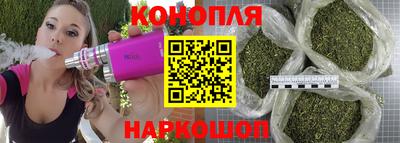 прущие грибы Шелехов