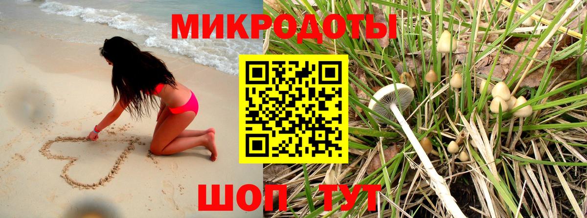 Галлюциногенные грибы прущие грибы Магадан
